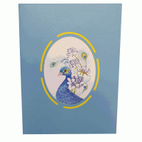 pop-up paradijs pauw kaart